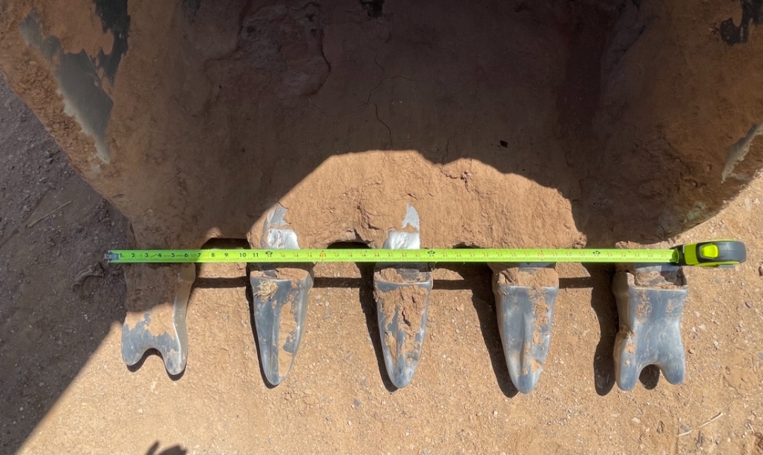 2014 ROCKLAND EB55 - Image 5